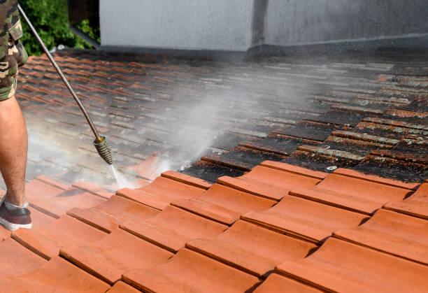 Best Deck Cleaning Services  in Myersville, MD