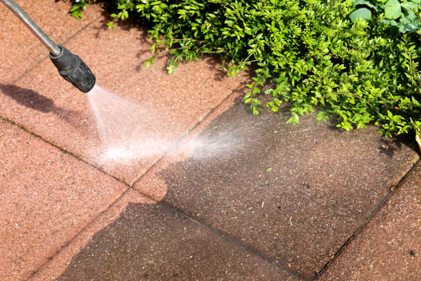 Best Pressure Washing Driveway  in Myersville, MD